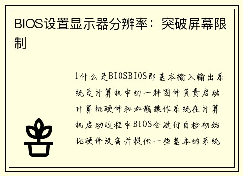 BIOS设置显示器分辨率：突破屏幕限制